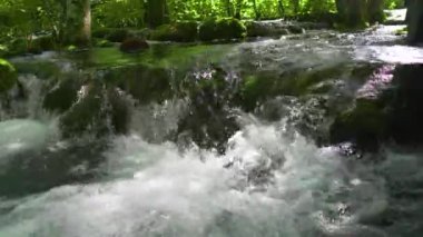 Hırvatistan. Plitvice Lakes Ulusal Parkı. Popüler turist mekanı. UNESCO Dünya Mirası Listesi 'nde. Kristal berrak suyla akarsu. Sabit Kamera