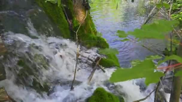 Croácia Parque Nacional Dos Lagos Plitvice Ponto Turístico Popular Listado — Vídeo de Stock