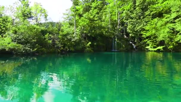 Croácia Parque Nacional Dos Lagos Plitvice Lago Com Água Cristalina — Vídeo de Stock