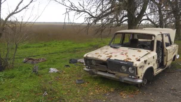 Ukrayna Savaş 2022 Rus Istilası Ukrayna Kırsal Kesimde Yolun Kenarında — Stok video