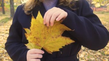 Sonbahar ormanı. Güneşli bir gün. Sarı yapraklar ağaçlardan düştü. Kız elinde sarı yapraklar tutuyor (yakın çekim, sabit kamera). Ormanda sonbahar yürüyüşleri. Doğayla bağlantı