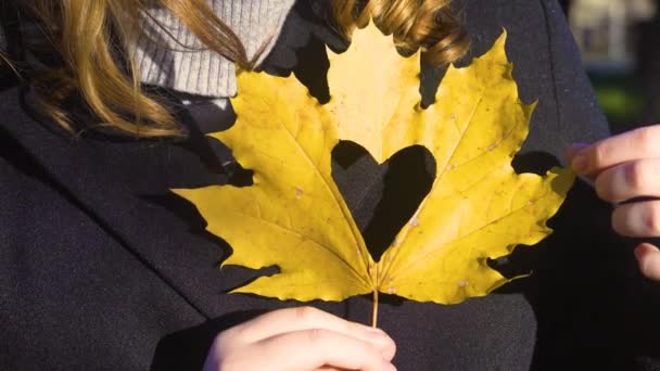 Sonbahar Ormanı Güneşli Bir Gün Kız Içinde Kalbi Kesilmiş Sarı — Stok video