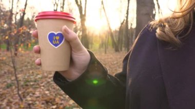 Ukrayna. İyi akşamlar. Gün batımı. Şehir Parkı. İş gününün sonunda. Bir kız elinde 