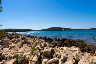 Hırvatistan. Yaz. Güneşli bir gün. Adriyatik Denizi 'nin kayalık kıyısı. Turizm sezonu. Popüler tatil beldesi