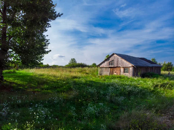 Summer Sunny Day Abandoned Old Wooden Farmhouse Green Meadow — Stock Photo, Image