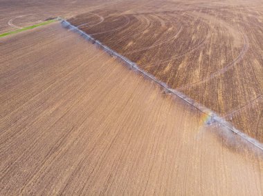 Bahar. Kırsal kesimde. Pivot sulama sahada işe yarıyor. Drone. Hava görünümü