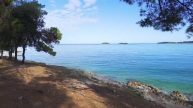 Hırvatistan. Adriyatik Denizi. Yaz. Tatil sezonu. Kozalaklı ağaçlı Rocky plajı. İnsan yok. Panorama. Kamera soldan sağa hareket ediyor.