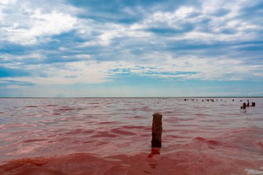 Ukrayna. Tuzlu pembe göl. Suyun inanılmaz rengi. Terk edilmiş tuz üretimi.