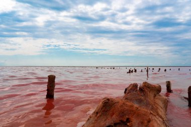Ukrayna. Tuzlu pembe göl. Suyun inanılmaz rengi. Terk edilmiş tuz üretimi.