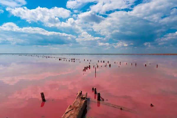 stock image Ukraine. Salty pink lake. Incredible color of water. Abandoned salt production.