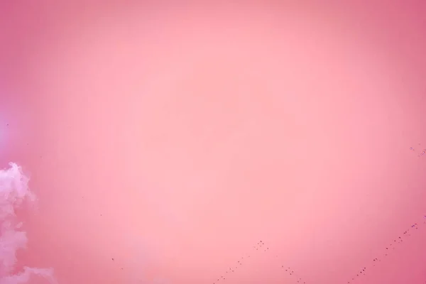 Ukrayna. Tuzlu pembe göl. Suyun inanılmaz rengi. Terk edilmiş tuz üretimi. Drone. Hava görünümü