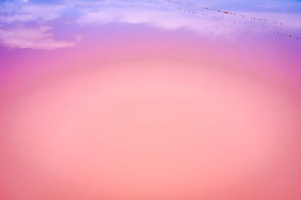 우크라이나 분홍색 놀라운 색깔의 물이죠 중단되었습니다 공중에서 — 스톡 사진