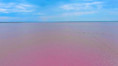 Tuzlu pembe bir gölün üzerinde uçuyor. Suyun inanılmaz rengi. Terk edilmiş tuz üretimi. Ukrayna. Drone. Hava görüntüsü. Kamera ileri gidiyor.
