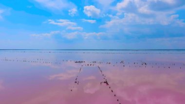 Tuzlu pembe gölün üzerinden uçmak. İnanılmaz bir sulu boya. Terk edilmiş tuz üretimi. Ukrayna. Drone. Hava görüntüsü. Kamera geri gidiyor.