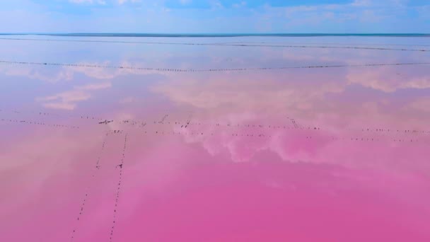 塩辛いピンクの湖を飛んでいます 信じられないほどの水の色 放棄された塩の生産 ウクライナだ ドローンだ 空中展望 カメラが前に進む — ストック動画