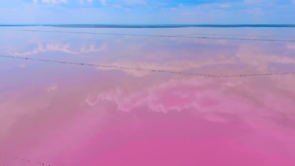 Survolez Lac Rose Salé Incroyable Aquarelle Abandon Production Sel Ukraine — Video