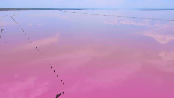 塩辛いピンクの湖の上を飛行します 信じられないほどの水の色 放棄された塩の生産 ウクライナだ ドローンだ 空中展望 カメラは右から左に円弧で移動します — ストック動画