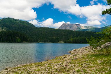 Karadağ. Zabljak. Durmitor Ulusal Parkı. Popüler turist mekanı. Yeşil kozalaklı ormanlarla çevrili kara göl. Doğa konseptinin güzelliği