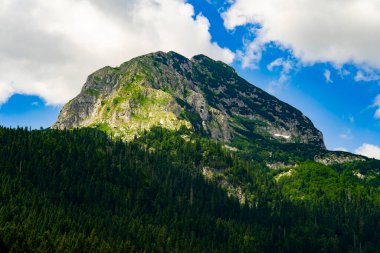 Karadağ. Zabljak. Durmitor Ulusal Parkı. Popüler turist mekanı. Yeşil kozalaklı ormanla çevrili yüksek bir dağ zirvesi. Doğa konseptinin güzelliği