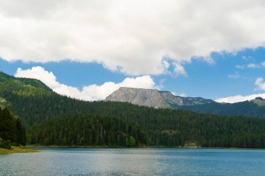 Karadağ. Zabljak. Durmitor Ulusal Parkı. Popüler turist mekanı. Yeşil kozalaklı ormanlarla çevrili kara göl. Doğa konseptinin güzelliği