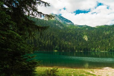 Karadağ. Zabljak. Durmitor Ulusal Parkı. Popüler turist mekanı. Yeşil kozalaklı ormanlarla çevrili kara göl. Doğa konseptinin güzelliği