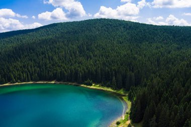 Karadağ. Zabljak. Durmitor Ulusal Parkı. Popüler turist mekanı. Yeşil kozalaklı ormanlarla çevrili kara göl. Doğa konseptinin güzelliği. Drone. Hava görünümü