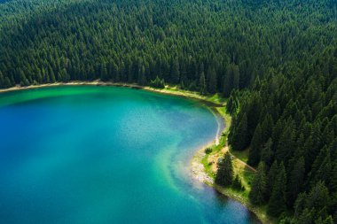 Karadağ. Zabljak. Durmitor Ulusal Parkı. Popüler turist mekanı. Yeşil kozalaklı ormanlarla çevrili kara göl. Doğa konseptinin güzelliği. Drone. Hava görünümü