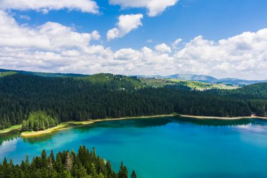 Karadağ. Zabljak. Durmitor Ulusal Parkı. Popüler turist mekanı. Yeşil kozalaklı ormanlarla çevrili kara göl. Doğa konseptinin güzelliği. Drone. Hava görünümü