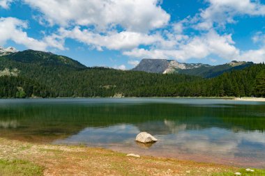 Karadağ. Zabljak. Durmitor Ulusal Parkı. Popüler turist mekanı. Yeşil kozalaklı ormanlarla çevrili kara göl. Doğa konseptinin güzelliği
