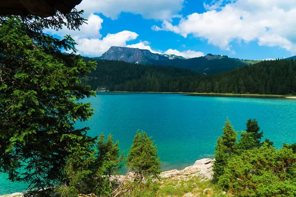 Чорногорія Забяк Національний Парк Дурмітор Популярне Туристичне Місце Чорне Озеро — стокове фото