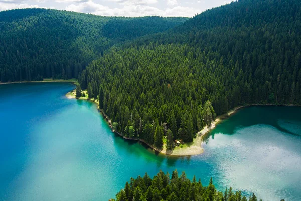 モンテネグロ ザブルジャック デュルモーター国立公園 人気の観光地 緑の針葉樹林に囲まれた黒い湖 自然の概念の背景の美しさ ドローンだ 空中風景 — ストック写真