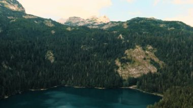 Karadağ. Zabljak. Durmitor Ulusal Parkı. Popüler turist mekanı. Yeşil kozalaklı ormanlarla çevrili kara göl. Drone. Hava görüntüsü. Kamera ileri gidiyor.