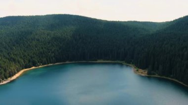 Karadağ. Zabljak. Durmitor Ulusal Parkı. Popüler turist mekanı. Yeşil kozalaklı ormanlarla çevrili kara göl. Drone. Hava görüntüsü. Kamera ileri gidiyor.