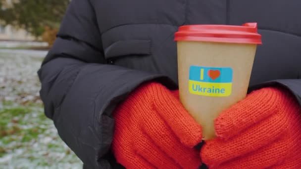 Winter Kaltes Wetter Stadtpark Ein Mädchen Hält Eine Tasse Kaffee — Stockvideo