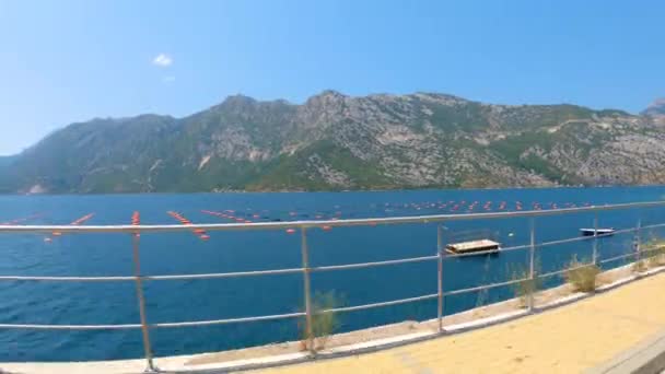 Montenegro Baia Kotor Fattoria Delle Ostriche Baia Più Grande Del — Video Stock