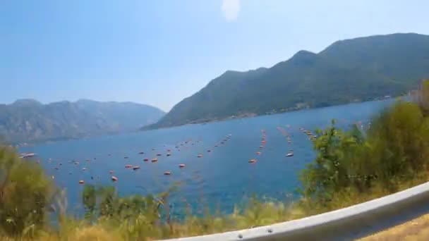 Montenegro Bahía Kotor Granja Ostras Bahía Más Grande Del Mar — Vídeos de Stock