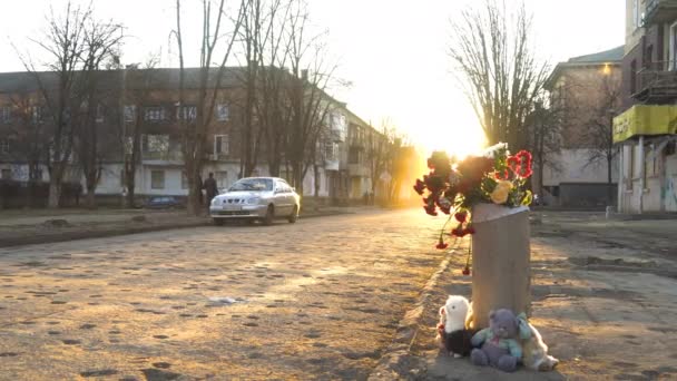 City Kryvyi Rih Dnepropetrovsk Region Ukraine 2022 Flowers Toys Memory — Stock Video