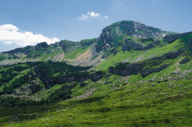 Karadağ. Durmitor Ulusal Parkı. Eyer Geçidi. Alp çayırları. Dağ manzarası. Popüler turizm merkezi