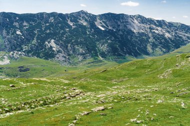 Karadağ. Durmitor Ulusal Parkı. Eyer Geçidi. Alp çayırları. Dağ manzarası. Popüler turizm merkezi