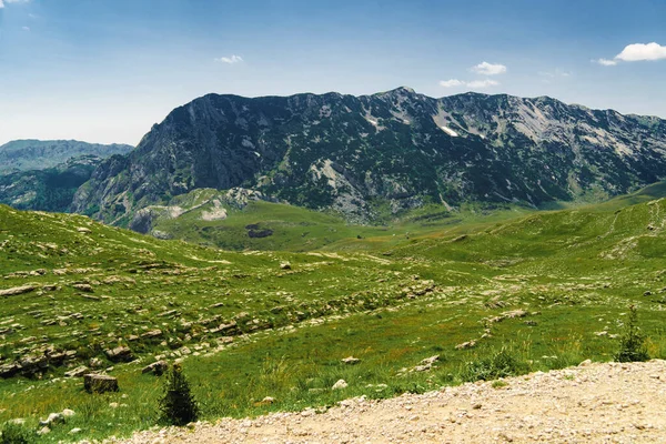 Karadağ. Durmitor Ulusal Parkı. Eyer Geçidi. Alp çayırları. Dağ manzarası. Popüler turizm merkezi