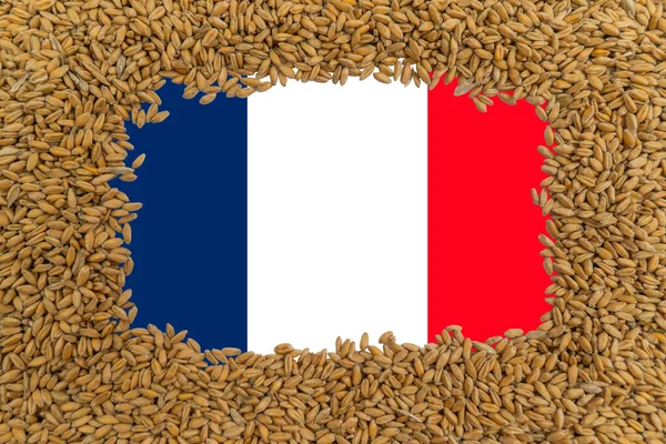 Rectangular frame of ripe grains of wheat on the background of the flag of France. The largest grain exporter in the world. Agriculture. The main ingredient for baking bread. Natural organic food