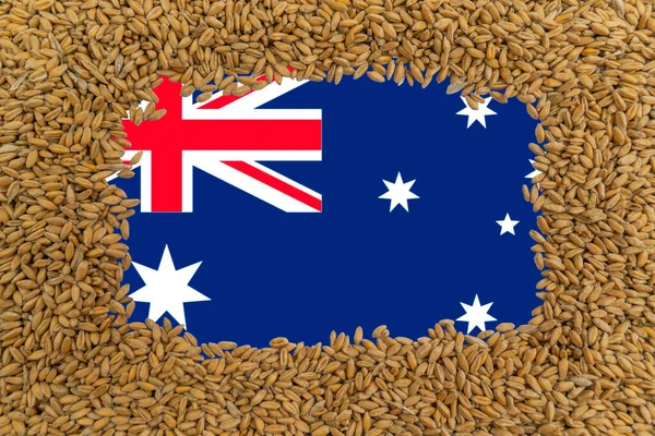 Rectangular frame of ripe grains of wheat on the background of the flag of Australia. The largest grain exporter in the world. Agriculture. The main ingredient for baking bread. Natural organic food