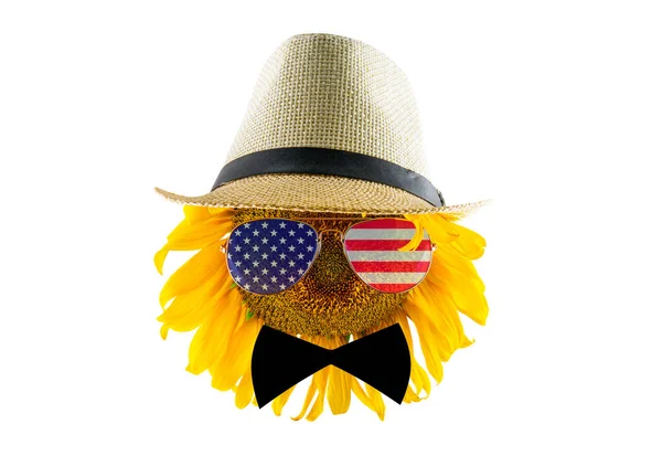 Solros Hatt Fluga Och Glasögon Form Amerikansk Flagga Närbild Isolerad — Stockfoto