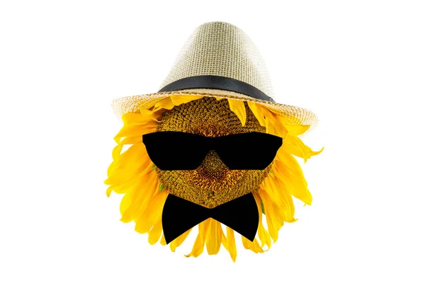 Blühende Gelbe Sonnenblume Mit Hut Sonnenbrille Und Fliege Nahaufnahme Isoliert — Stockfoto