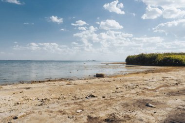 Güneşli bir yaz gününde kurumuş bir gölün manzarası. İklim değişikliği, kuraklık ve rezervlerin kuruması sorunu kavramı