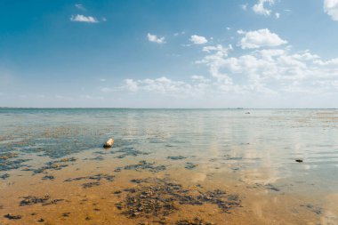 Güneşli bir yaz gününde kurumuş bir gölün manzarası. İklim değişikliği, kuraklık ve rezervlerin kuruması sorunu kavramı
