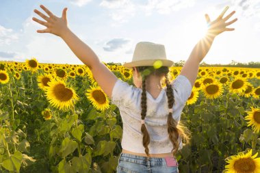 Ellerini kaldırmış bir kız, sırtı kameraya dönük bir şekilde ayçiçeği tarlasında dikiliyor. Yazın gün batımı ya da gün doğumu