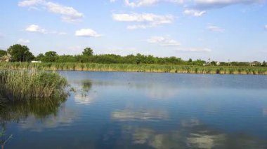 Bir gölü, kabarık bulutları ve yazın kıyıda sıra sıra kamışları olan güzel kırsal alan. Döndürme (kamera soldan sağa hareket eder)