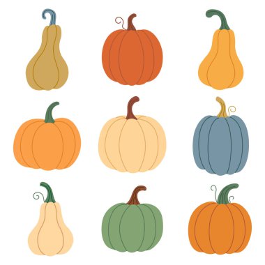 Farklı renklerde bir çift balkabağı. Elle çizilmiş şirin balkabakları. Sıcak bir sonbahar seti. Vektör illüstrasyonu...