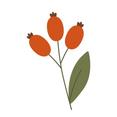 Bir sürü kırmızı böğürtlen, elle çizilmiş. Hoş bir sonbahar seti. Vektör illüstrasyonu.